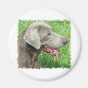 Aimant Habillement et articles de labrador retriever