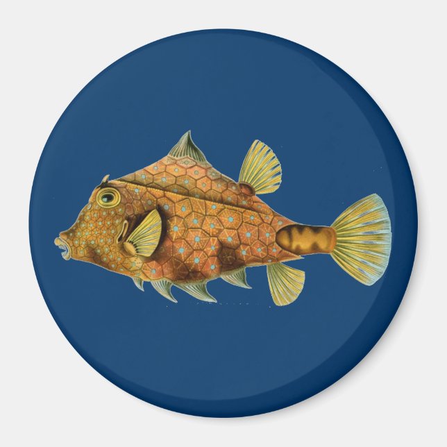 Aimant Haeckel Fish (Devant)