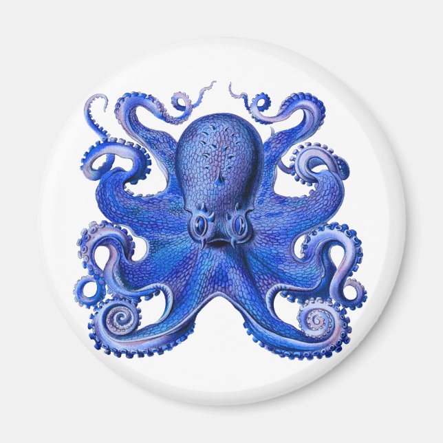 Aimant Haeckel Octopus Blue (Devant)
