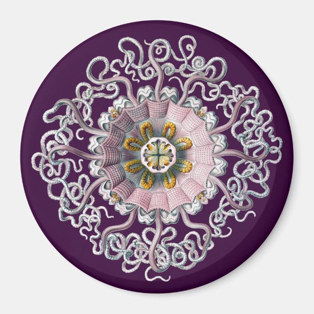 Aimant Haeckel Vintage personnalisable (Devant)
