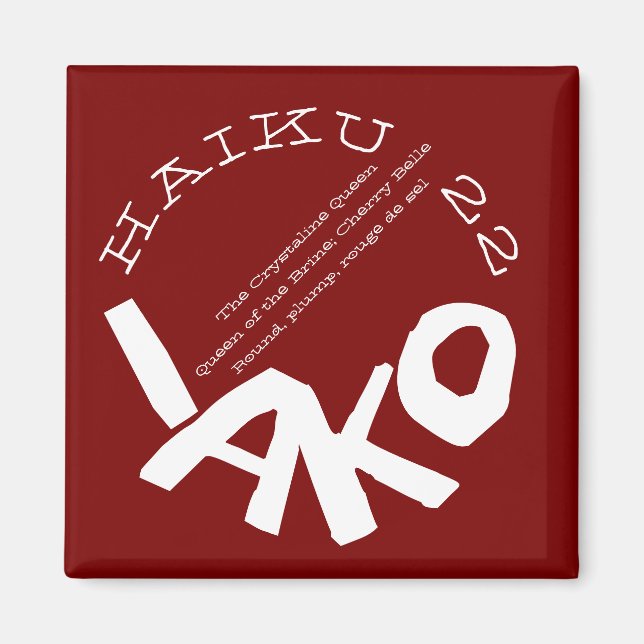 AIMANT HAIKU 22 (Devant)