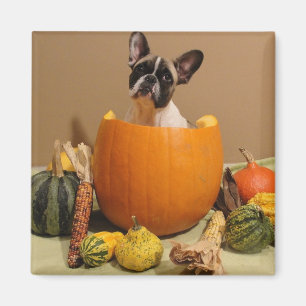Aimant Halloween