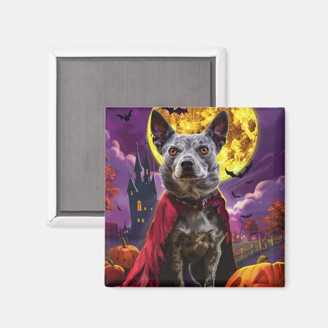 Aimant Halloween Blue Heeler Chien Citrouilles Effrayant  (Recto/Verso)