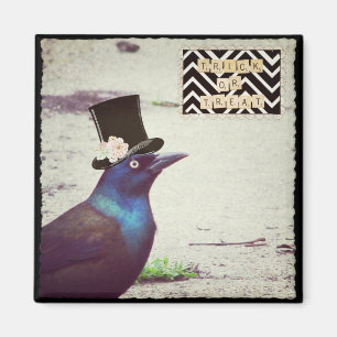 Aimant Halloween Grackle