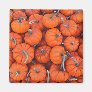 Aimant Halloween Mini Citrouille Automne Automne Motif Ph