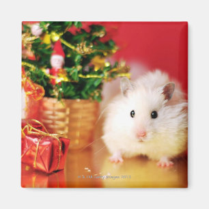 Aimant Hamster Kokolinka avec arbre de Noël