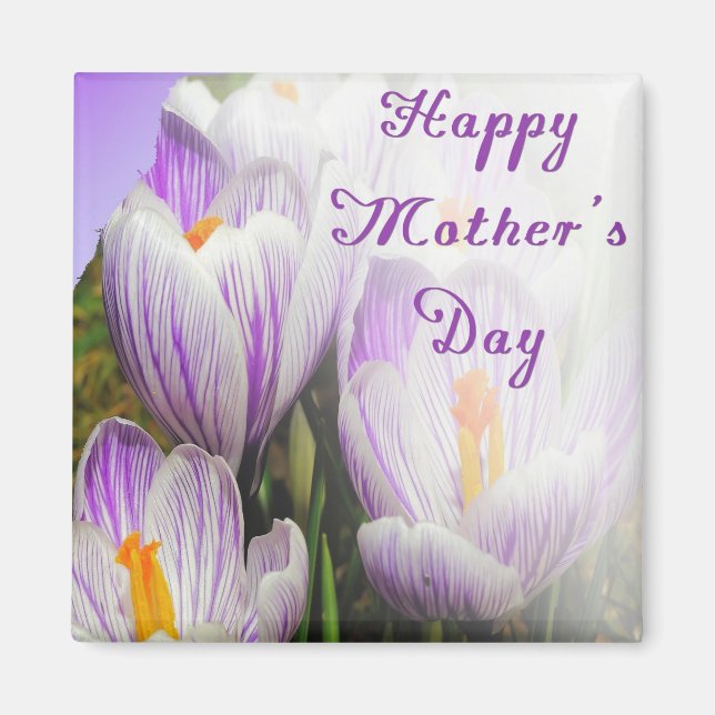 Aimant Happy Mother's Day Bright Purple and White Tulips (Devant)