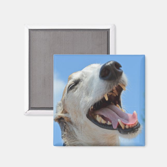 Aimant Happy Smiling Greyhound Face Closeup (Recto/Verso)