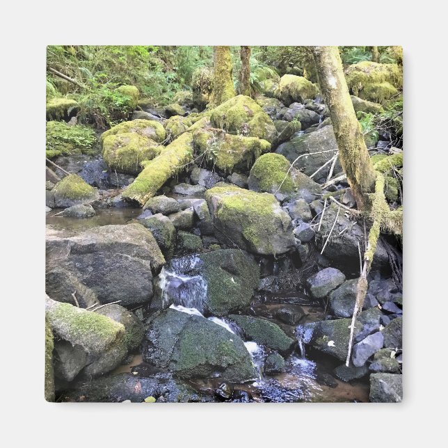 Aimant Hardy Creek, Oregon (Devant)