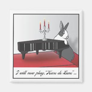 AIMANT HARE DE LUNE