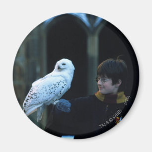 Aimant Harry et Hedwig 2
