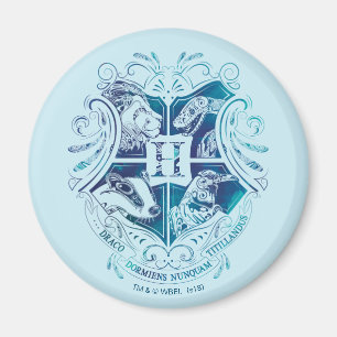 Aimant Harry Potter   Aguamenti HOGWARTS™ Crest