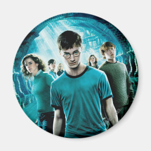 Aimant HARRY POTTER ET L'ORDRE DU PHOENIX™ Blue