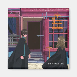 Aimant HARRY POTTER™ & Hermione à Eeylops Owl Emporium