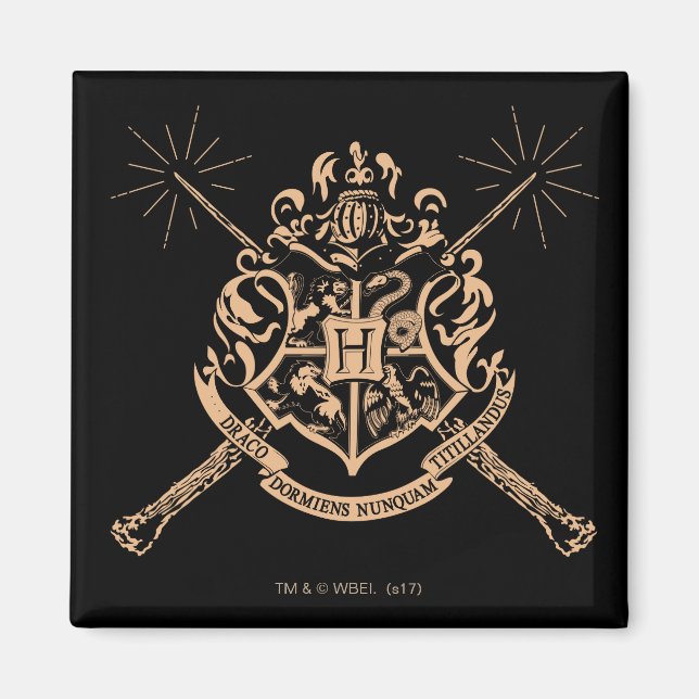 Aimant Harry Potter | Hogwarts Crossed Wands Crest (Devant)