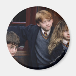 Aimant Harry, Ron et Hermione