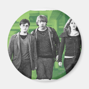 Aimant Harry, Ron et Hermione 1