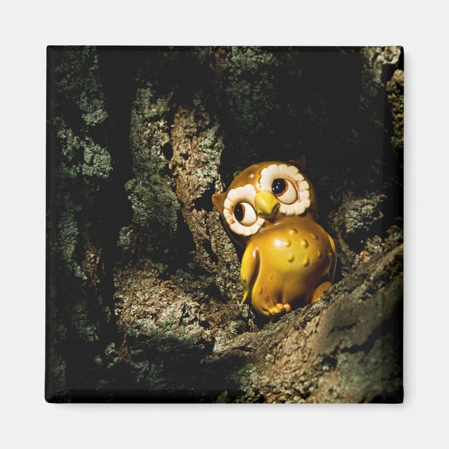 Aimant Harvey le hibou I (Devant)