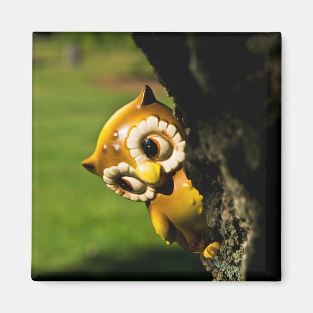 Aimant Harvey le hibou II (Devant)