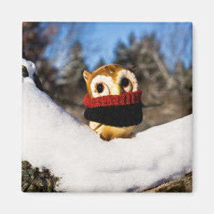 Aimant Harvey le Hibou IV