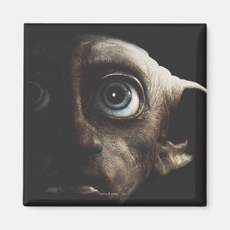 Aimant Hauteurs mortelles - Dobby
