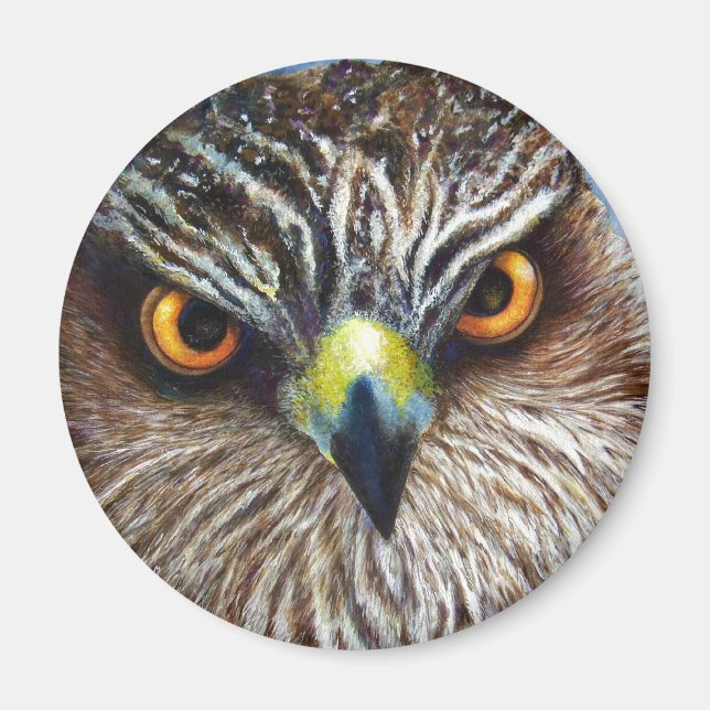 Aimant Hawkeyes (Devant)