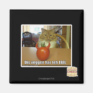 Aimant Haz de veggee de DIS l'EBIL