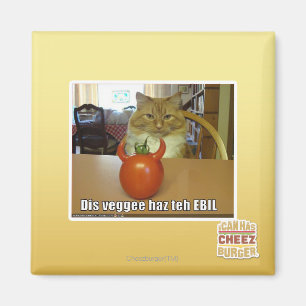 Aimant Haz de veggee de DIS l'EBIL