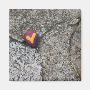 Aimant Heart Rock et Fossil Rock