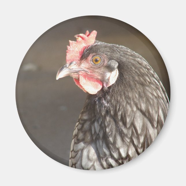 Aimant Hen bleu (Devant)