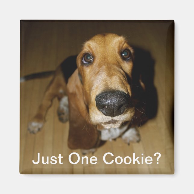 Aimant Henry Longfellow (Devant)