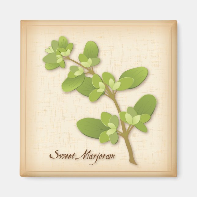 Aimant Herb de Sweet Marjoram (Devant)