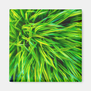 Aimant Herbe