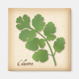 Aimant Herbe Cilantro