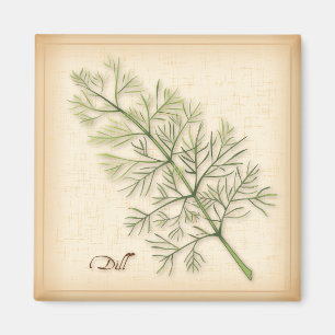 Aimant Herbe Dill, Herbe Dill