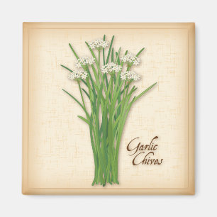 Aimant Herbe Garlic Chives