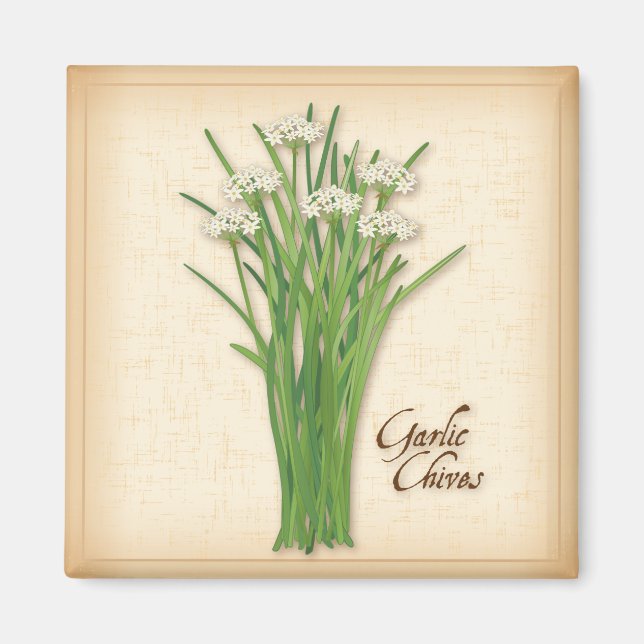 Aimant Herbe Garlic Chives (Devant)
