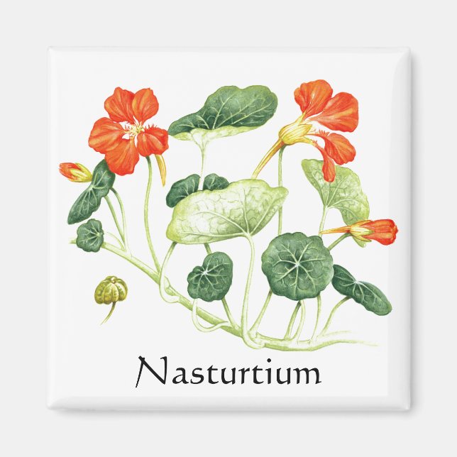 Aimant Herbe - Série de jardins - Nasturtium (Devant)