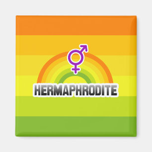 AIMANT HERMAPHRODITE RAINBOW