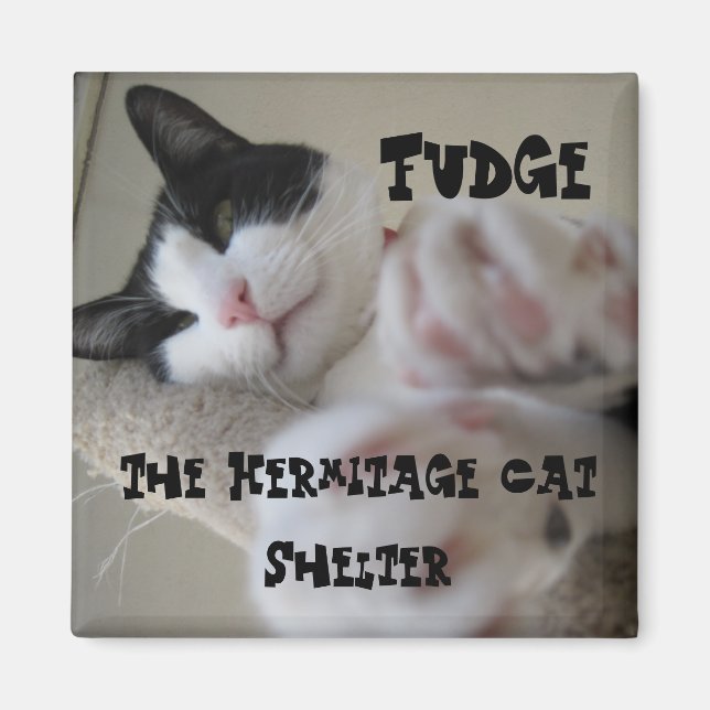 Aimant Hermitage - Fudge (Devant)