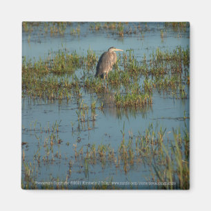 Aimant Heron 6937