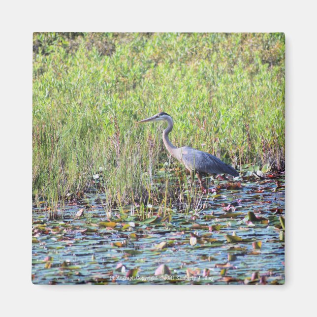 Aimant Heron P6450 (Devant)