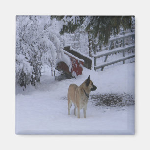 Aimant Heure d'hiver.....