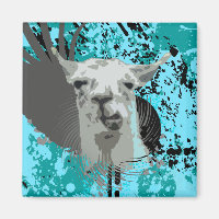 hi-fi llama.