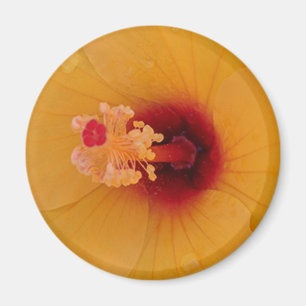 Aimant Hibiscus