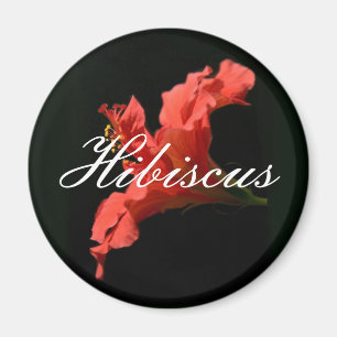 Aimant Hibiscus