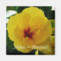 Hibiscus jaune fleur de l'État d'Hawaii