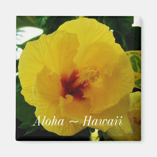 Aimant Hibiscus jaune fleur de l'État d'Hawaii