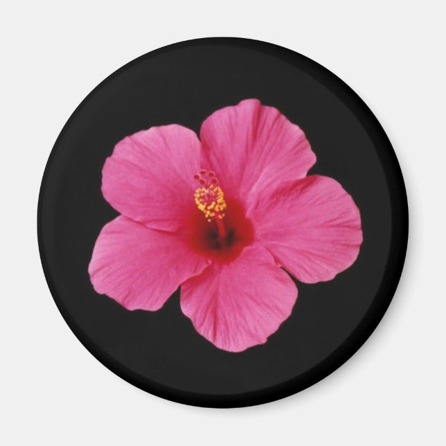 Aimant Hibiscus rose (Devant)