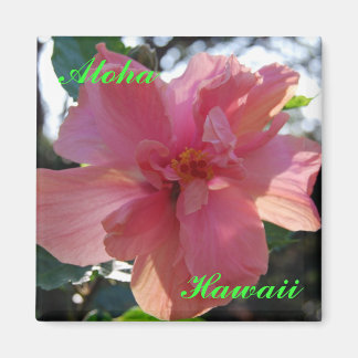 Aimant Hibiscus rose à Hawaii